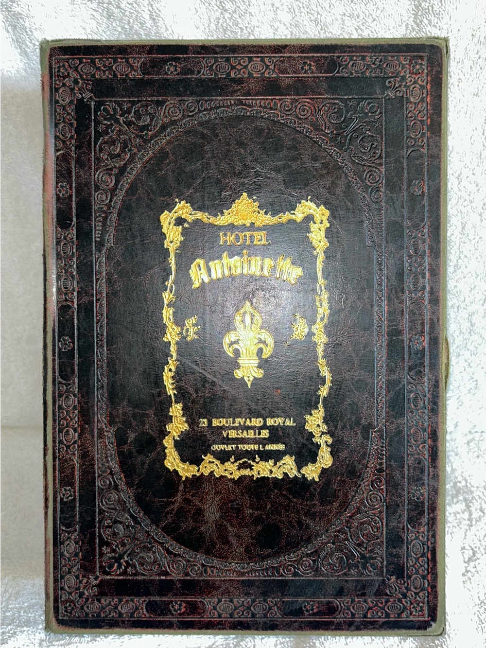 Large Storage Book/ Box